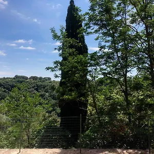 La Casa All'oliveto Apartamento
