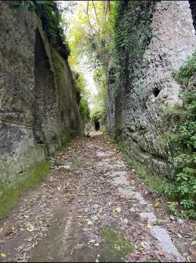 Guest house Affittacamere Licenza N.1 Presso La Magica Torre Pitigliano